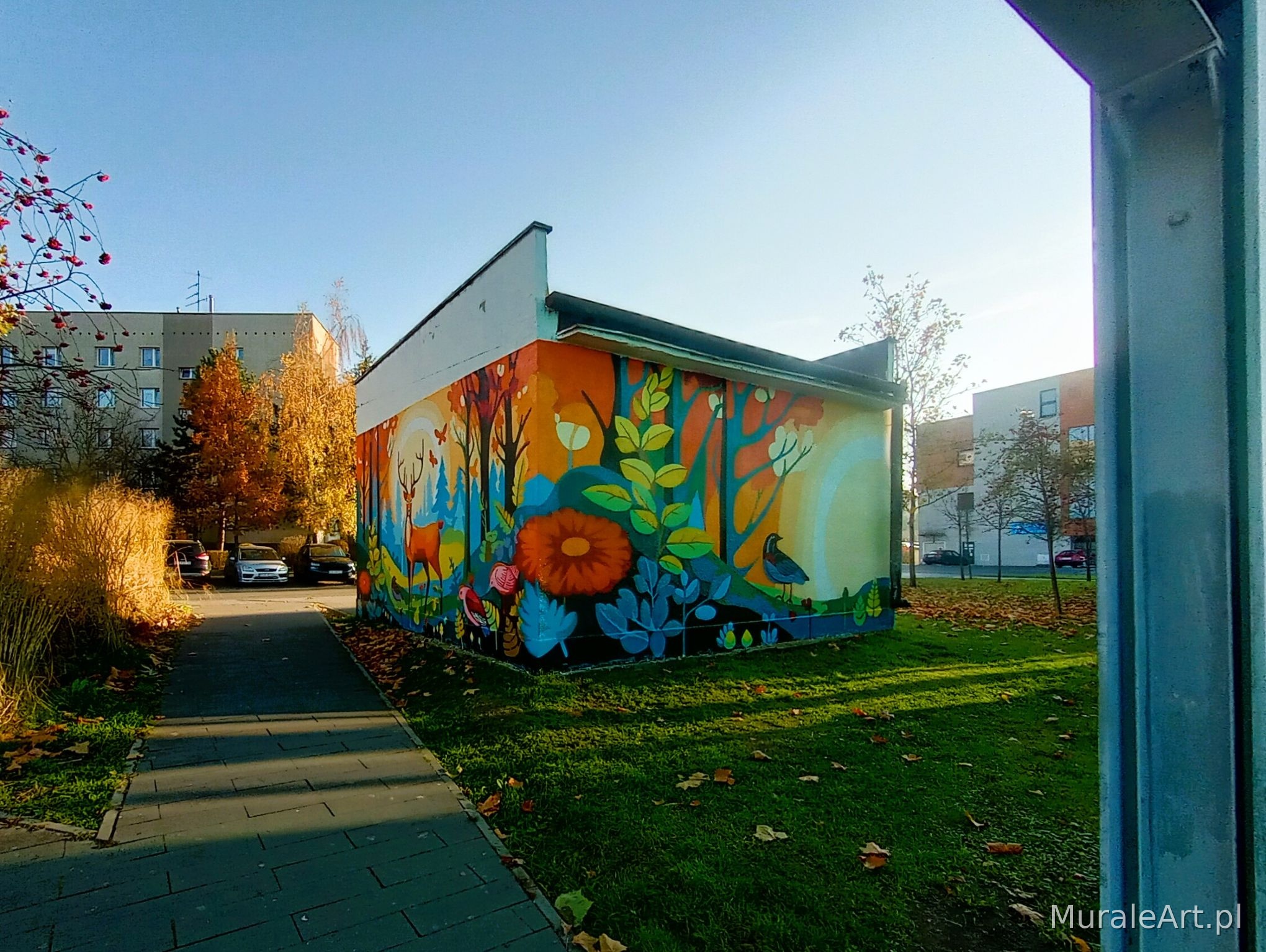 Mural Na skraju lasu w Krakowie - zdjęcie 12